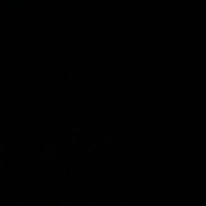 Meet your Posher, Bella